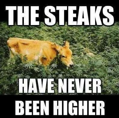 thesteaks